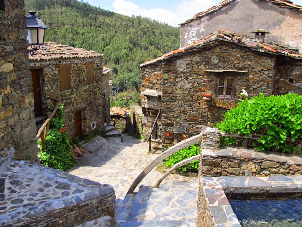 Villa Vivenda Pirilampo Vila Nova de Poiares Esterno foto