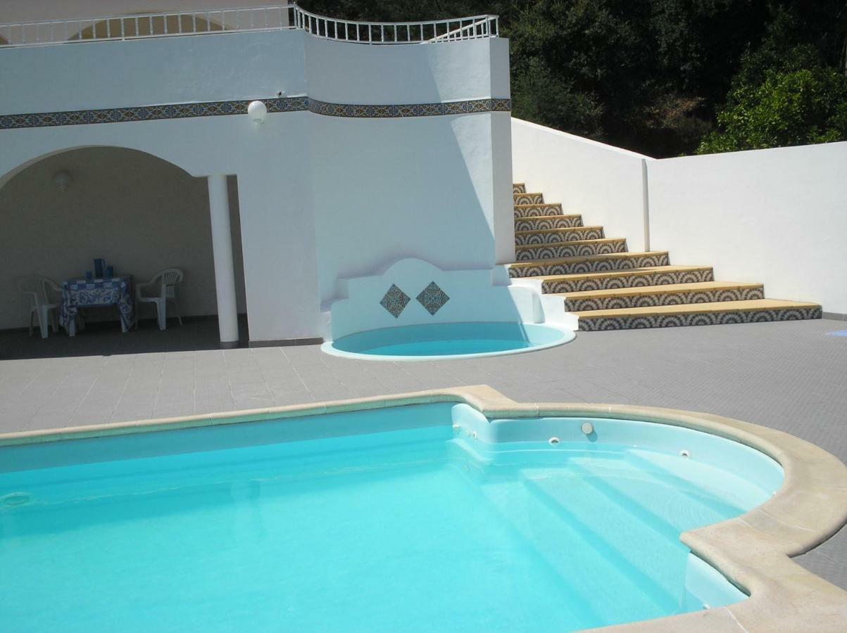 Villa Vivenda Pirilampo Vila Nova de Poiares Esterno foto