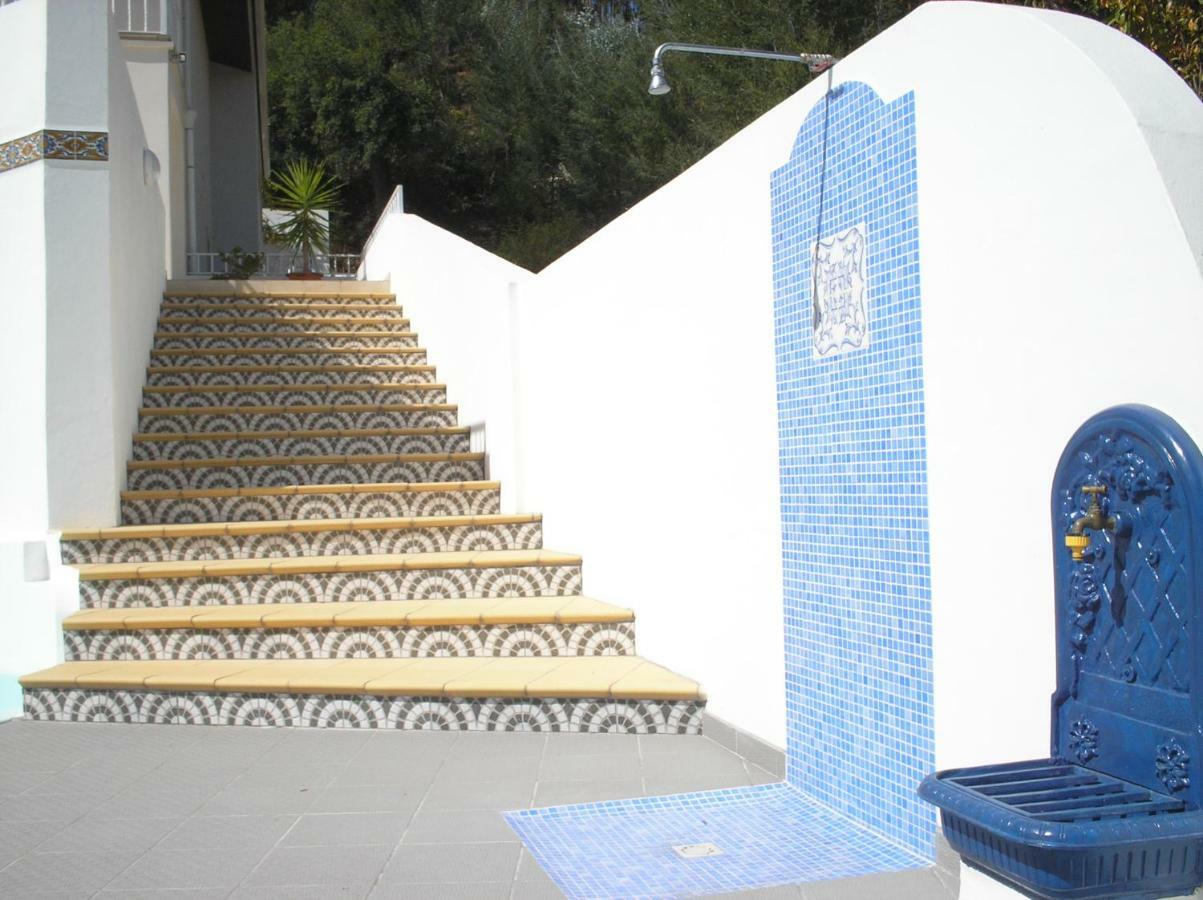 Villa Vivenda Pirilampo Vila Nova de Poiares Esterno foto